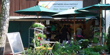 Frankfurt regional einkaufen - Agrargüter: Kräuter - Hessen - Gärtnerei Rappelt